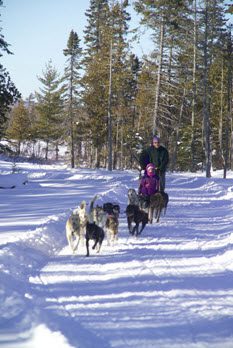 rangeley-lakes-trails-center-sled-dogs.jpg